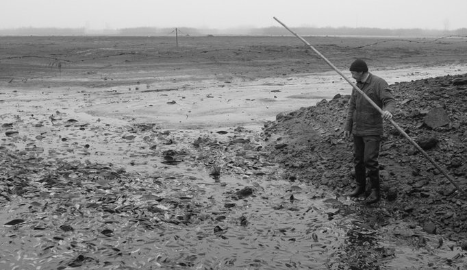three men and a fish pond_1