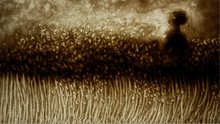 Flood of memory_1