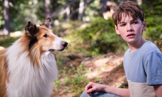 Scéna z filmu Lassie: Nové dobrodružství