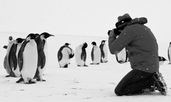 Scéna z filmu Volání Antarktidy