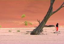 Scéna z filmu Namibia Crossings