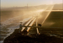 Scéna z filmu California Company Town