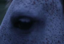 Scéna z filmu The Smelting of Time