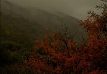 Scéna z filmu Barvy podzimu