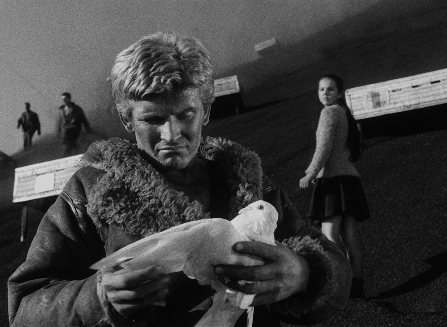 Holubice dafilms.cz filmy online