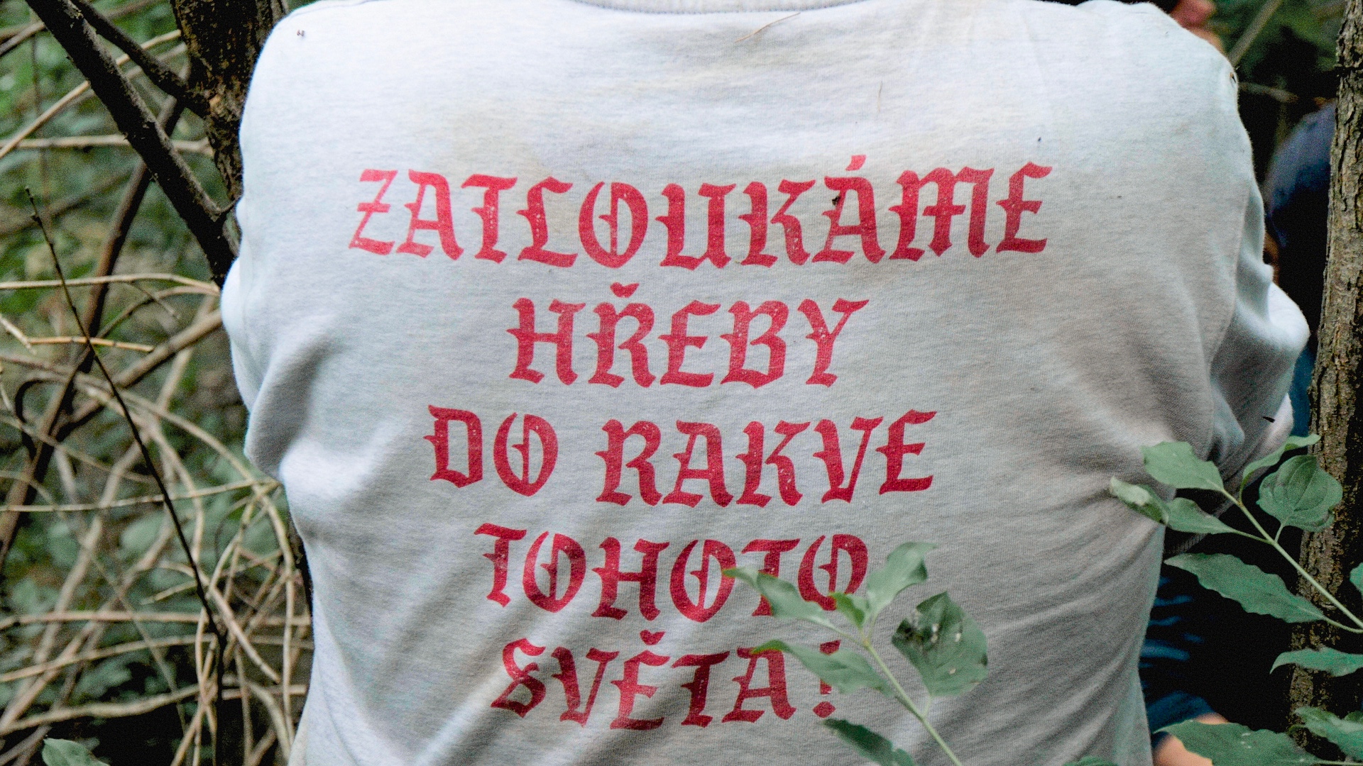 ve-ejn-prosp-n-pr-ce-dafilms-cz-filmy-online